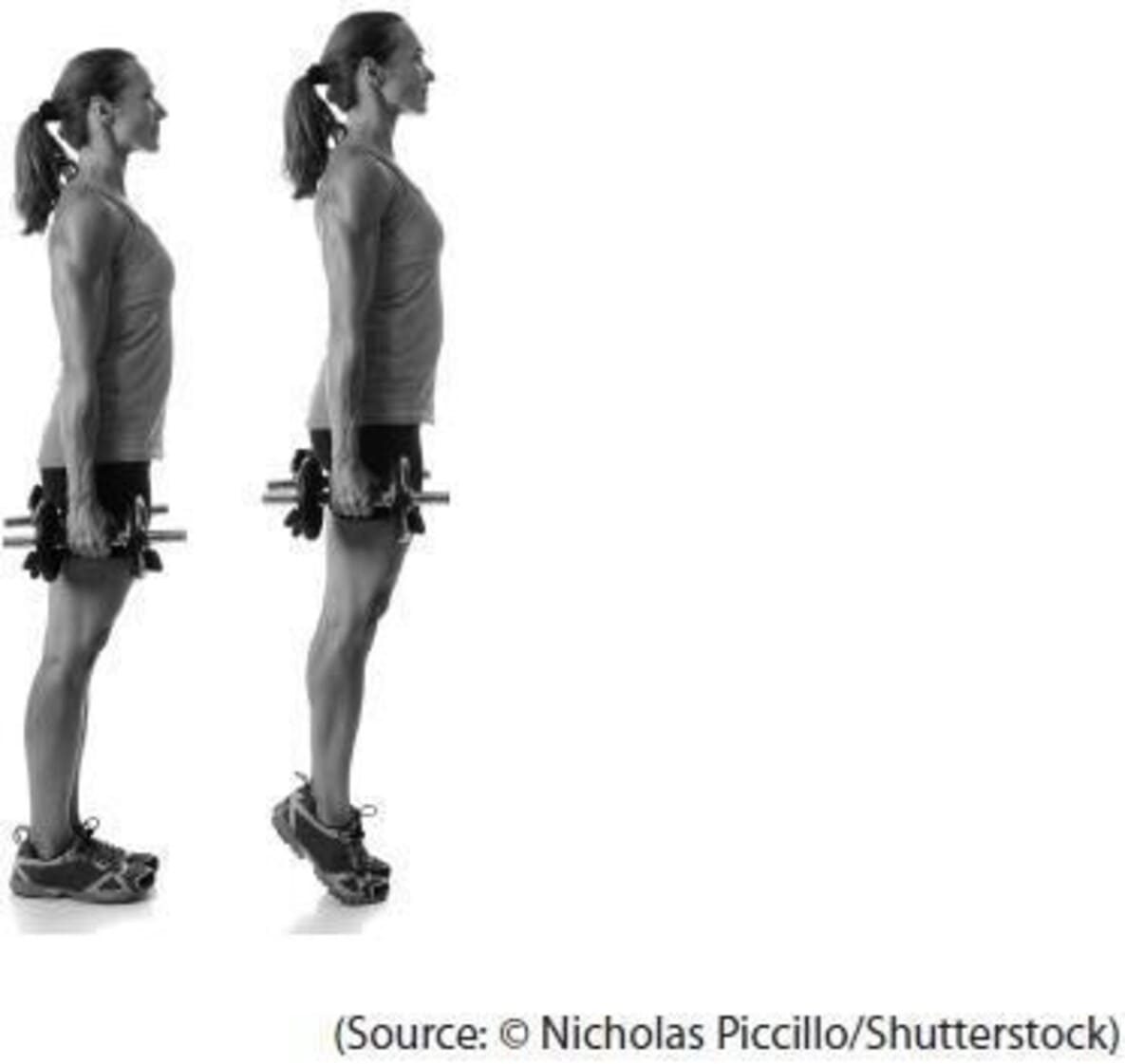 athlete during a weight training session  athlete during a weight training session