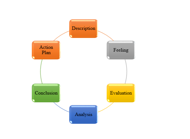 Demonstration of gibbs reflective cycle process